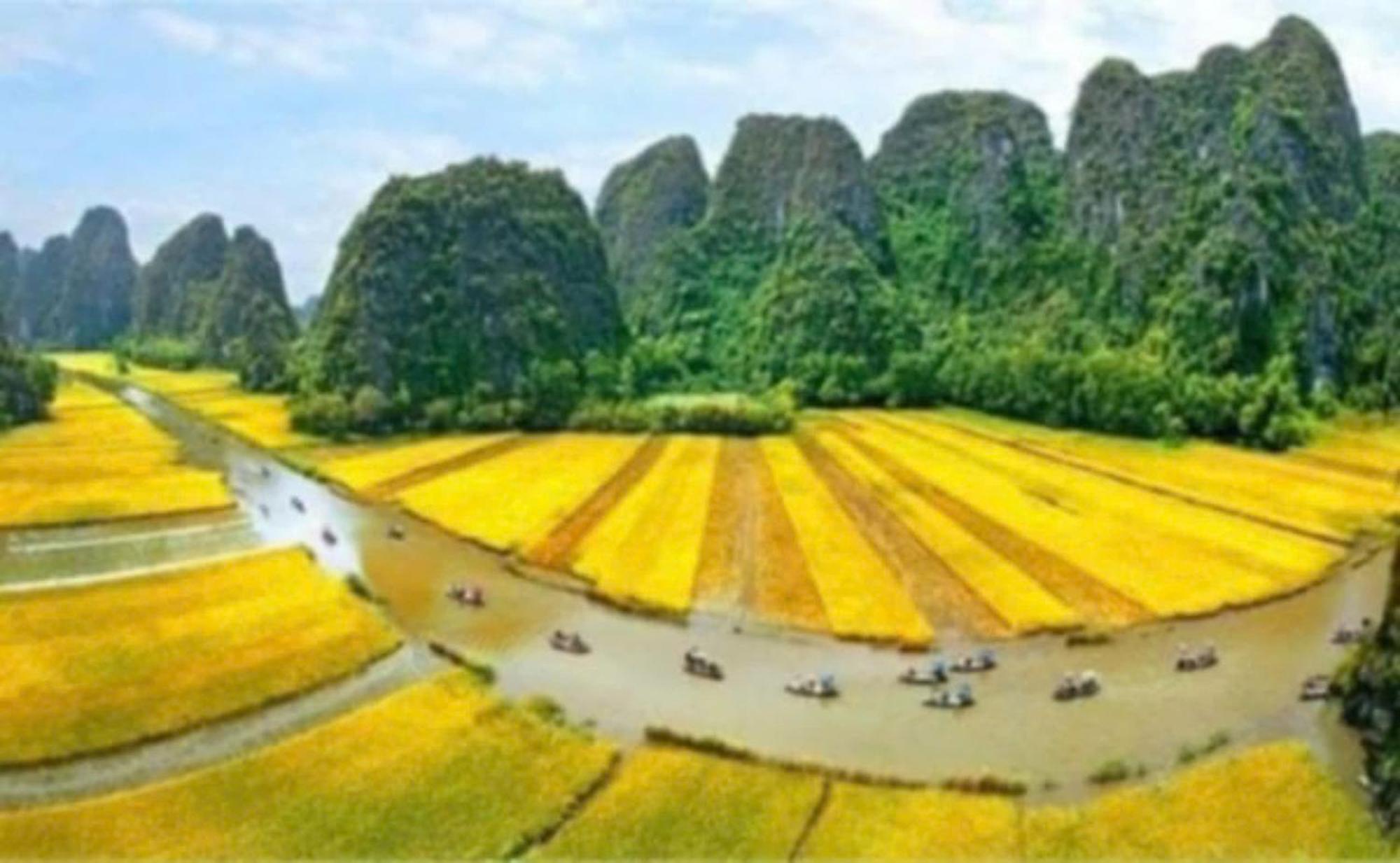 Tam Coc Pomelo Garden Apartment Ninh Binh Exterior photo