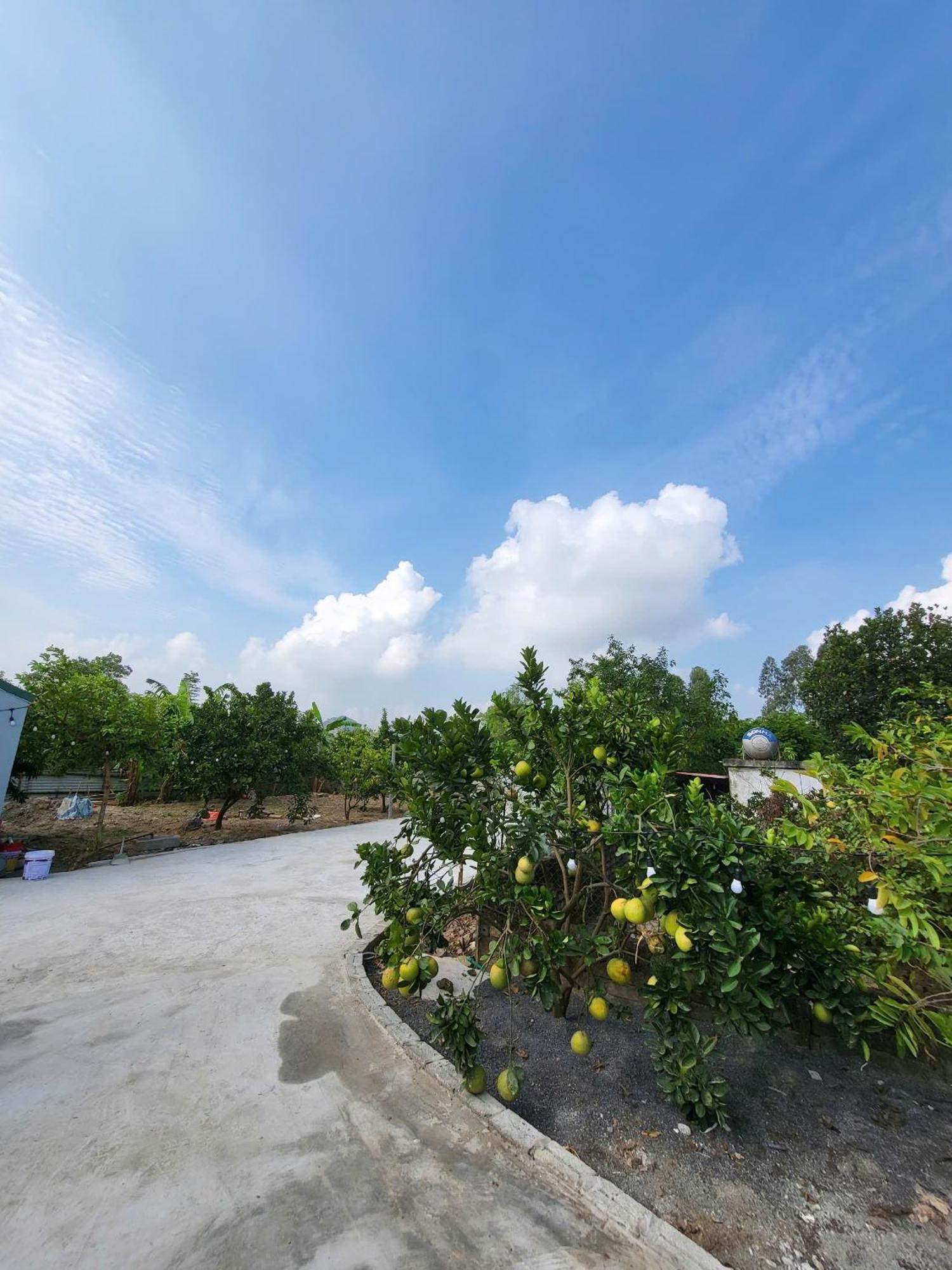 Tam Coc Pomelo Garden Apartment Ninh Binh Exterior photo