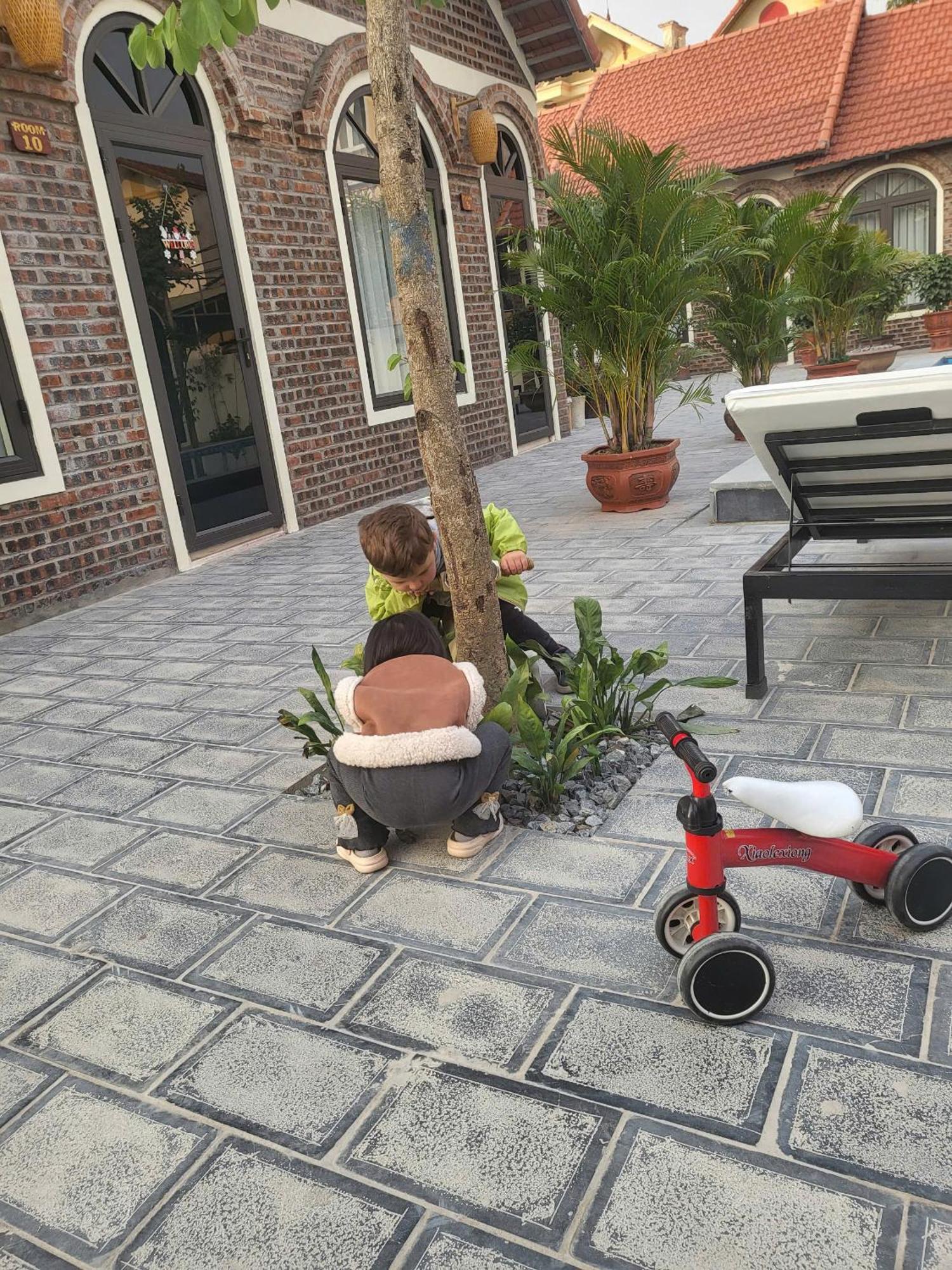 Tam Coc Pomelo Garden Apartment Ninh Binh Exterior photo